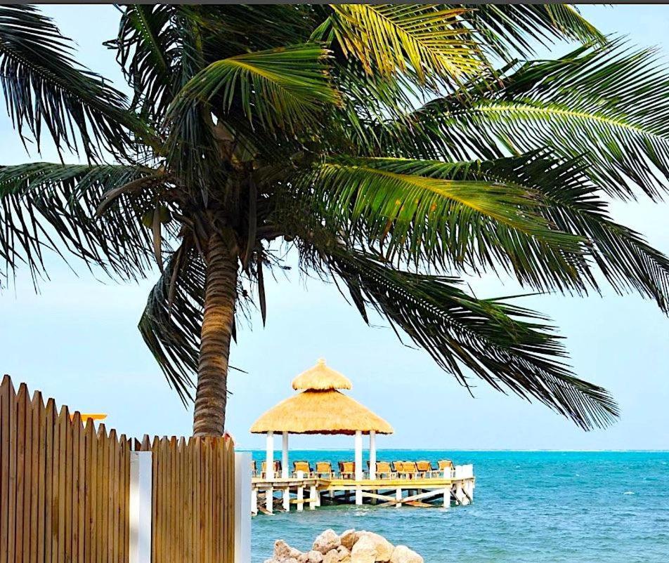 VeLento Beach Level #9 Caye Caulker Esterno foto
